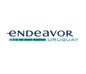 endeavor (1)